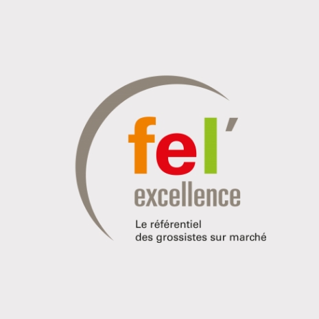 logo FEL excellence