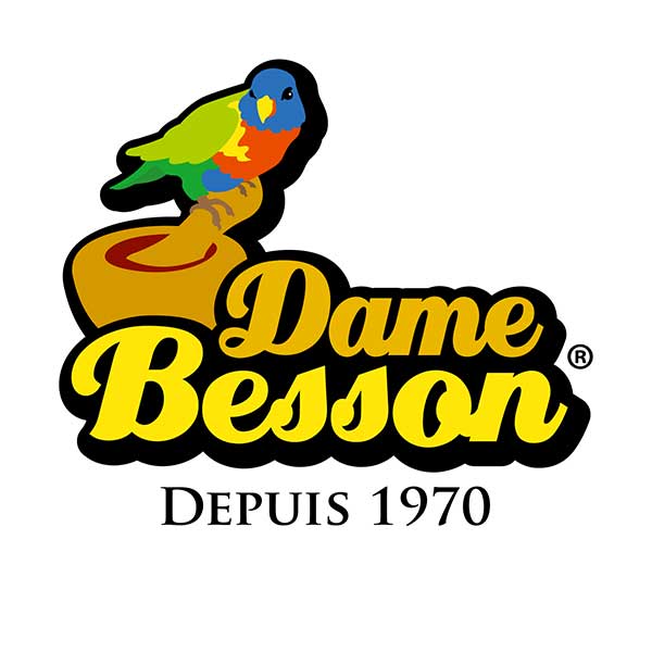 logo de la marque DAME BESSON