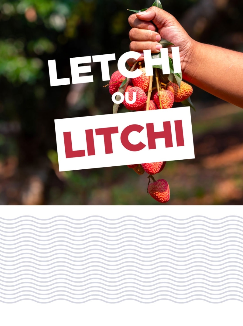 visuel orthographe letchi ou litchi