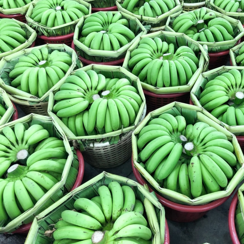 Paniers de bananes vertes sur le marché