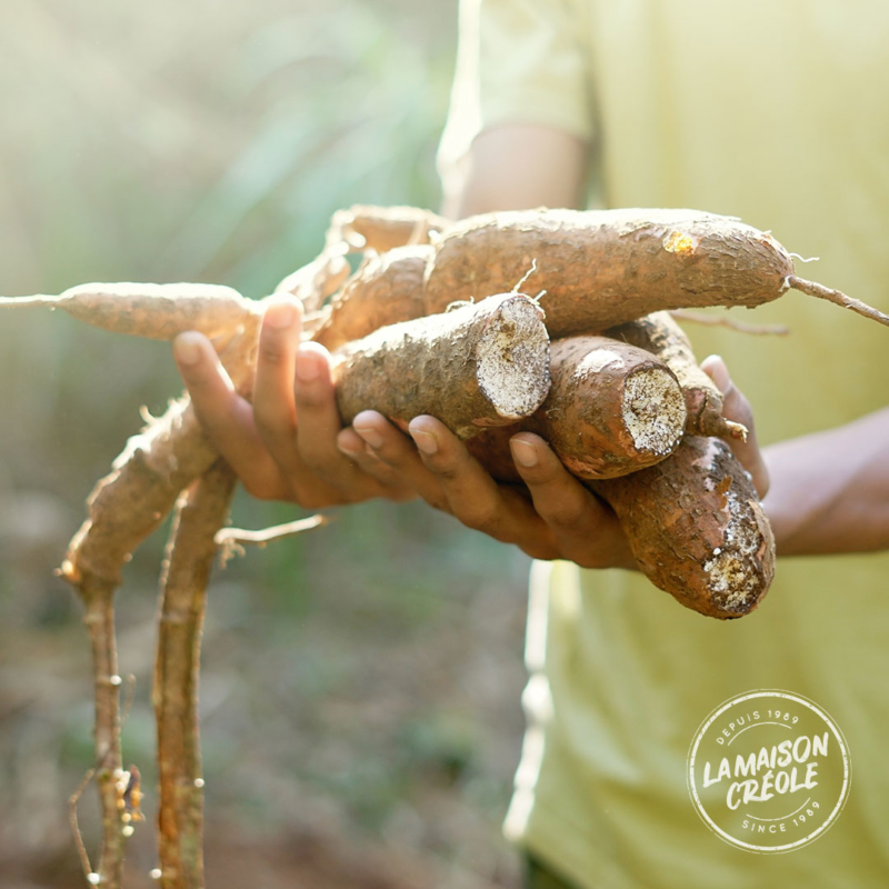 racines de manioc