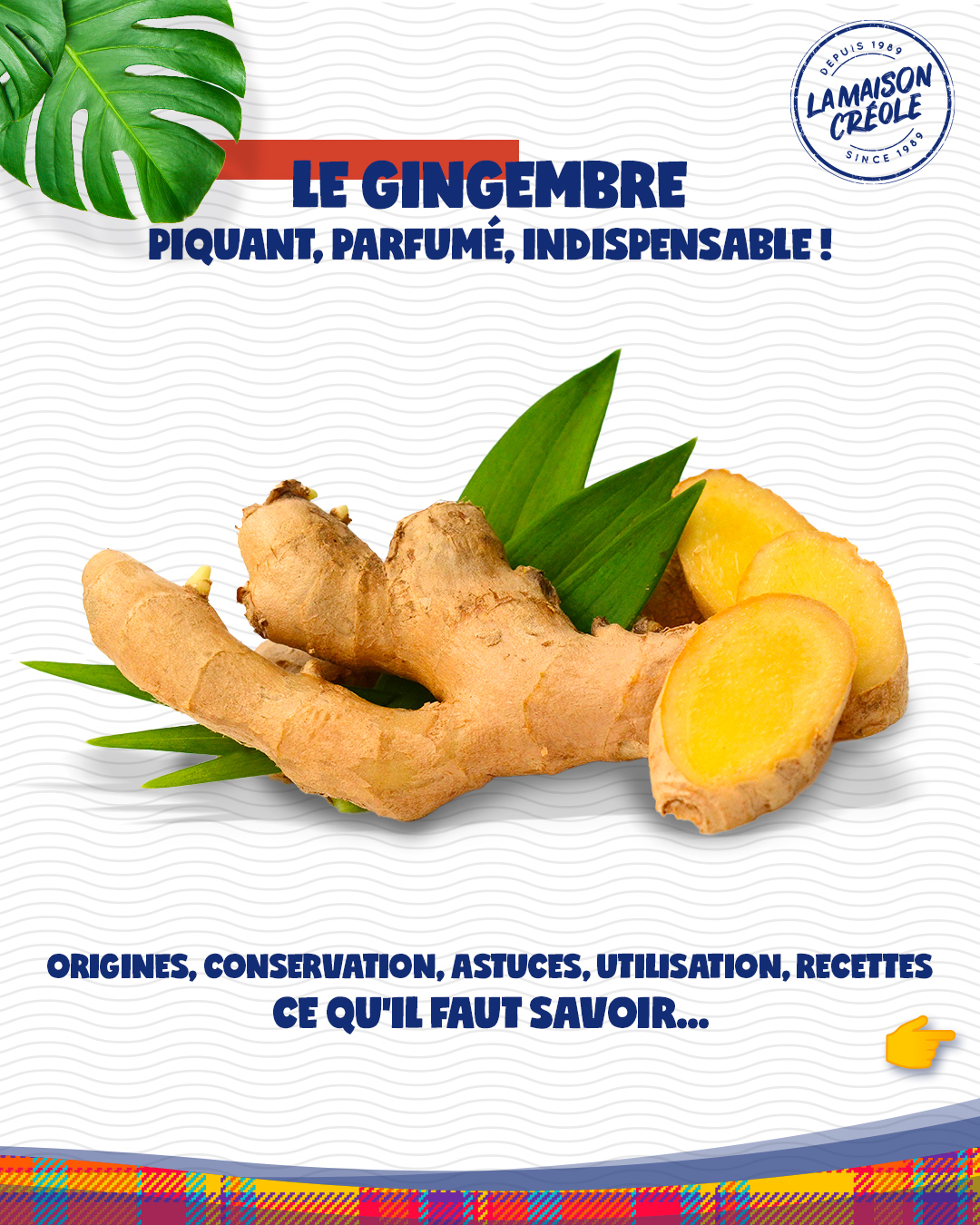 Tout savoir sur le gingembre