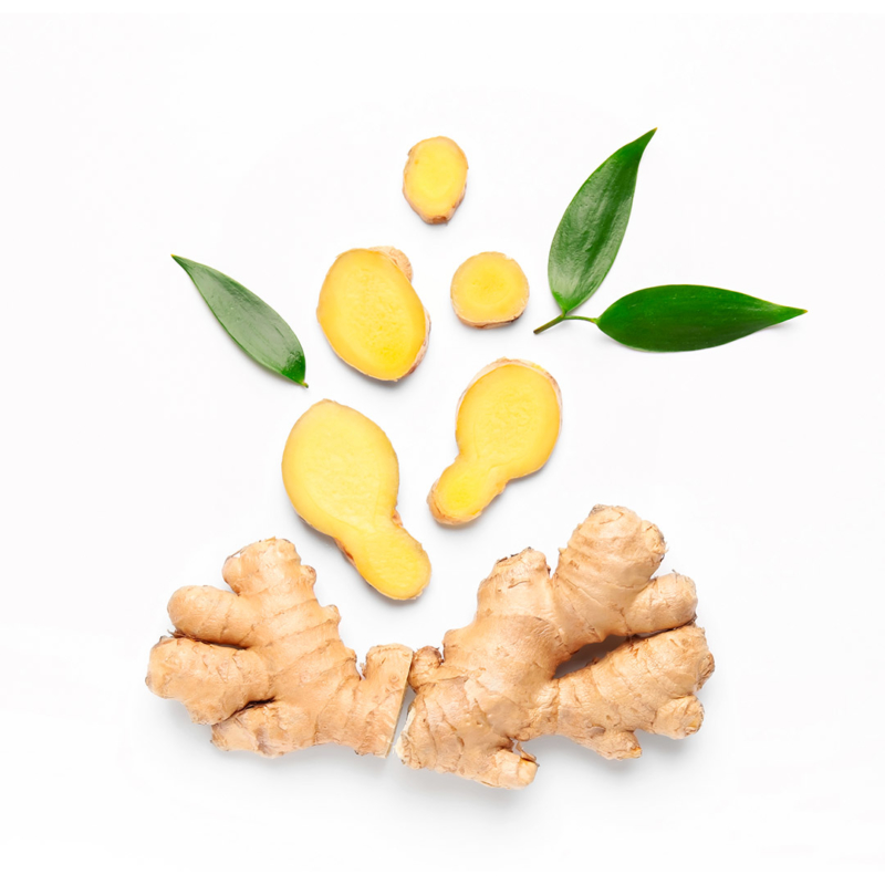 histoire-origines-gingembre